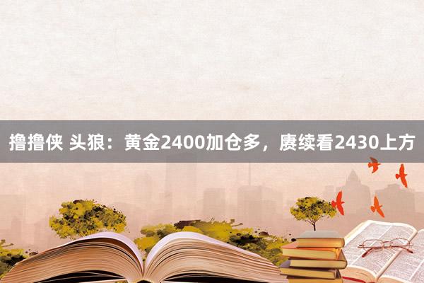 撸撸侠 头狼：黄金2400加仓多，赓续看2430上方