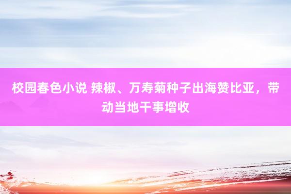 校园春色小说 辣椒、万寿菊种子出海赞比亚，带动当地干事增收