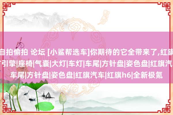 自拍偷拍 论坛 [小鲨帮选车]你期待的它全带来了,红旗H6发扬何如 搭2.0T引擎|座椅|气囊|大灯|车灯|车尾|方针盘|姿色盘|红旗汽车|红旗h6|全新极氪