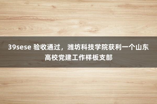 39sese 验收通过，潍坊科技学院获利一个山东高校党建工作样板支部