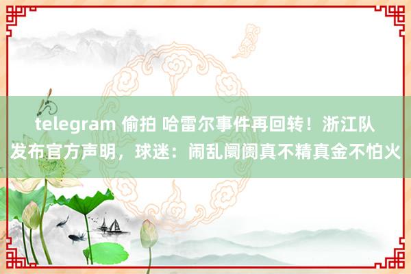 telegram 偷拍 哈雷尔事件再回转！浙江队发布官方声明，球迷：闹乱阛阓真不精真金不怕火