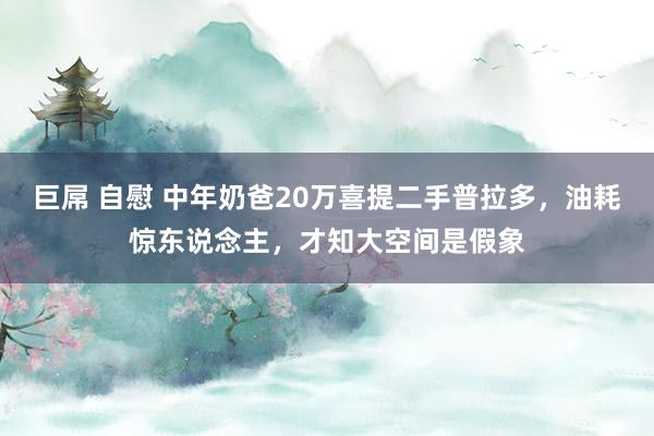巨屌 自慰 中年奶爸20万喜提二手普拉多，油耗惊东说念主，才知大空间是假象