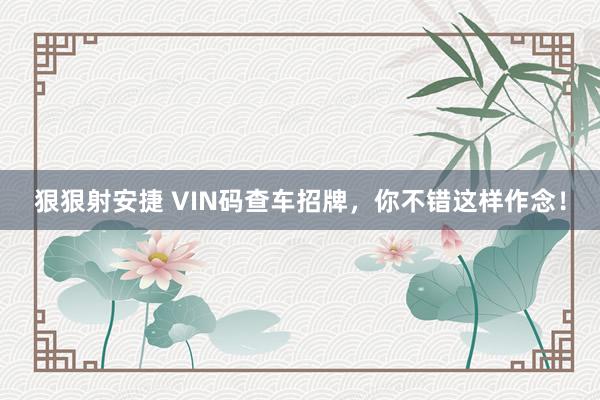 狠狠射安捷 VIN码查车招牌，你不错这样作念！