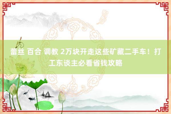 蕾丝 百合 调教 2万块开走这些矿藏二手车！打工东谈主必看省钱攻略