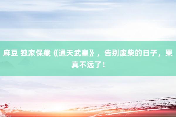 麻豆 独家保藏《通天武皇》，告别废柴的日子，果真不远了！