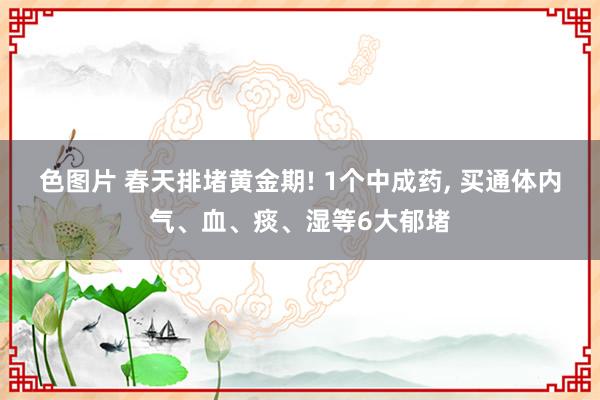色图片 春天排堵黄金期! 1个中成药, 买通体内气、血、痰、湿等6大郁堵
