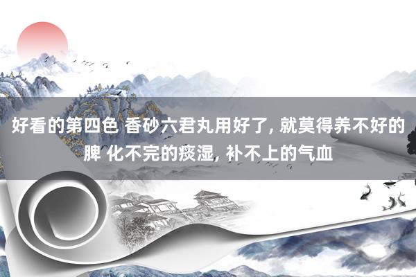 好看的第四色 香砂六君丸用好了, 就莫得养不好的脾 化不完的痰湿, 补不上的气血
