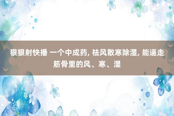 狠狠射快播 一个中成药, 祛风散寒除湿, 能逼走筋骨里的风、寒、湿