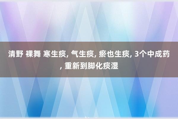 清野 裸舞 寒生痰, 气生痰, 瘀也生痰, 3个中成药, 重新到脚化痰湿