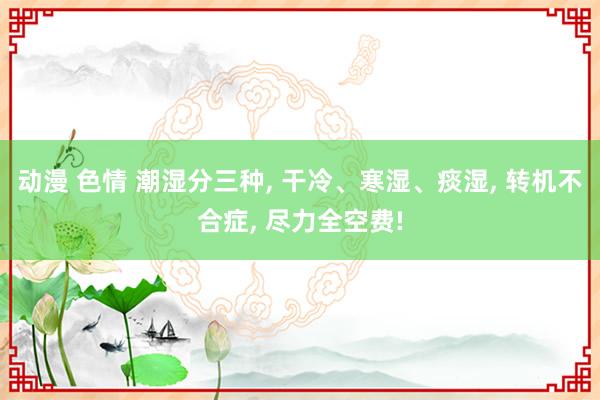 动漫 色情 潮湿分三种, 干冷、寒湿、痰湿, 转机不合症, 尽力全空费!