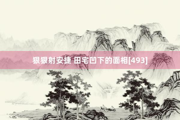 狠狠射安捷 田宅凹下的面相[493]