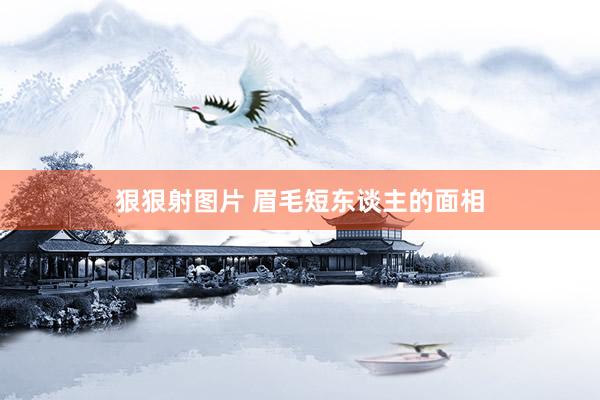 狠狠射图片 眉毛短东谈主的面相