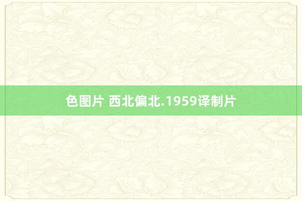 色图片 西北偏北.1959译制片