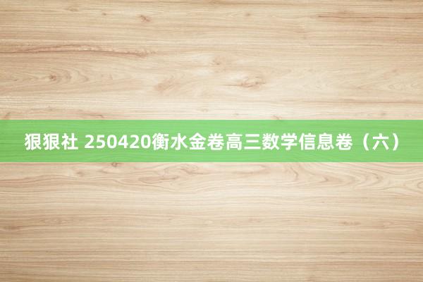狠狠社 250420衡水金卷高三数学信息卷（六）
