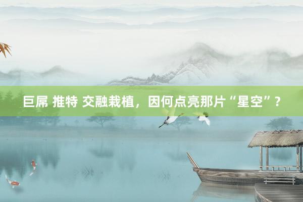 巨屌 推特 交融栽植，因何点亮那片“星空”？