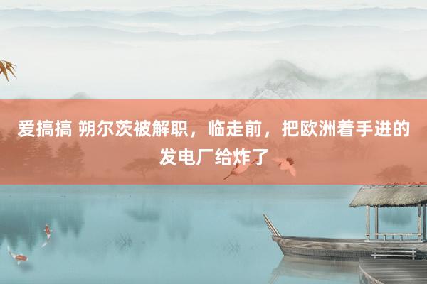 爱搞搞 朔尔茨被解职，临走前，把欧洲着手进的发电厂给炸了